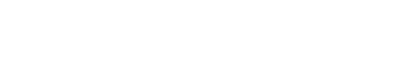 van Sallandsdreve Welsh Springer Spaniels