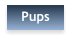 Pups